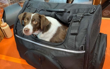 Motorcycle PET BAG