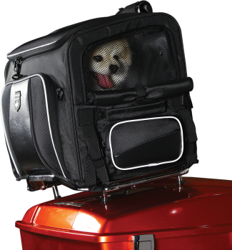 Route 1 Rover - Pet Carrier