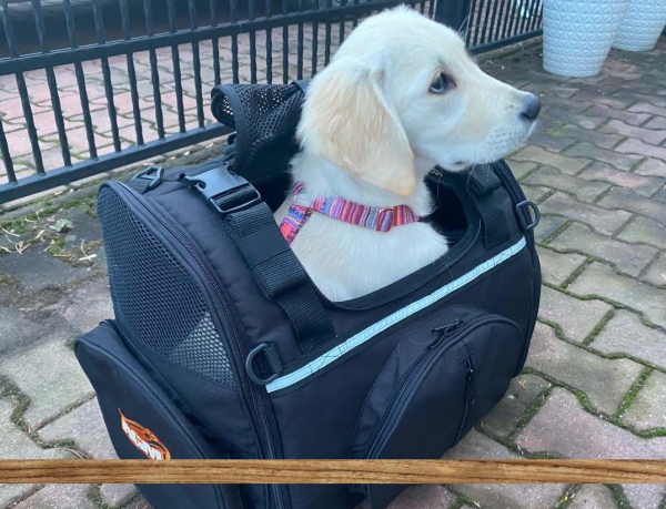 Motorcycle PET BAG