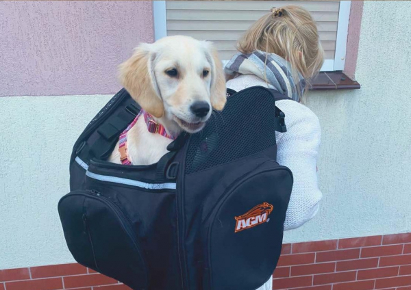 Motorcycle PET BAG