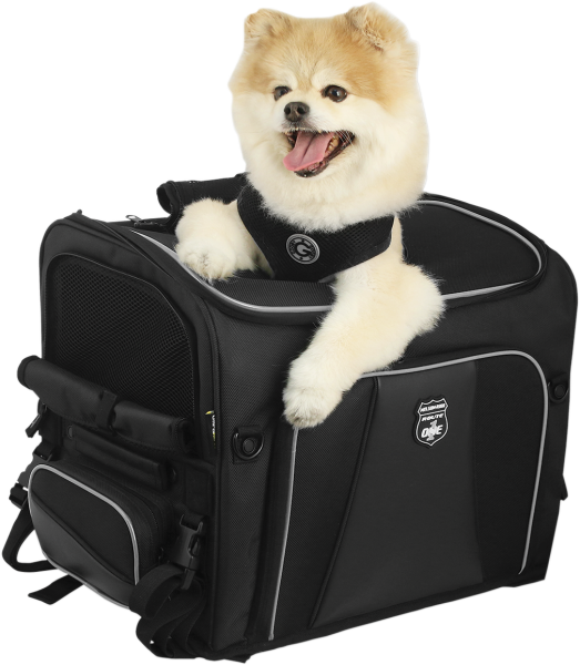 Route 1 Rover - Pet Carrier