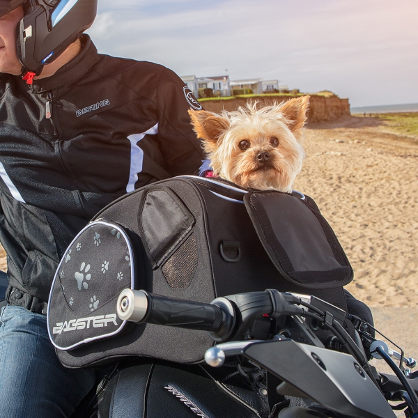 Tasche Motorrad für Hunde Halterung Easy Road Bagster Puppy 