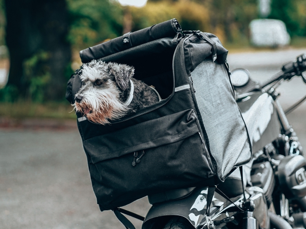 PET BAG PANORAMIC