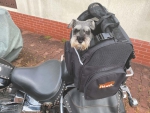Motorcycle PET BAG